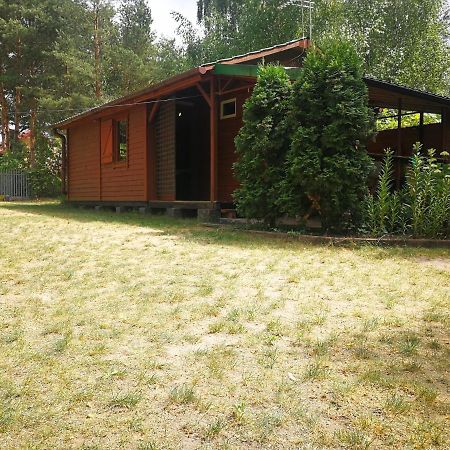 domki domek na jeziorem Wilczyńskim Budzisławskim - klimatyzacja, ogrzewanie Zygmuntowo  Zewnętrze zdjęcie