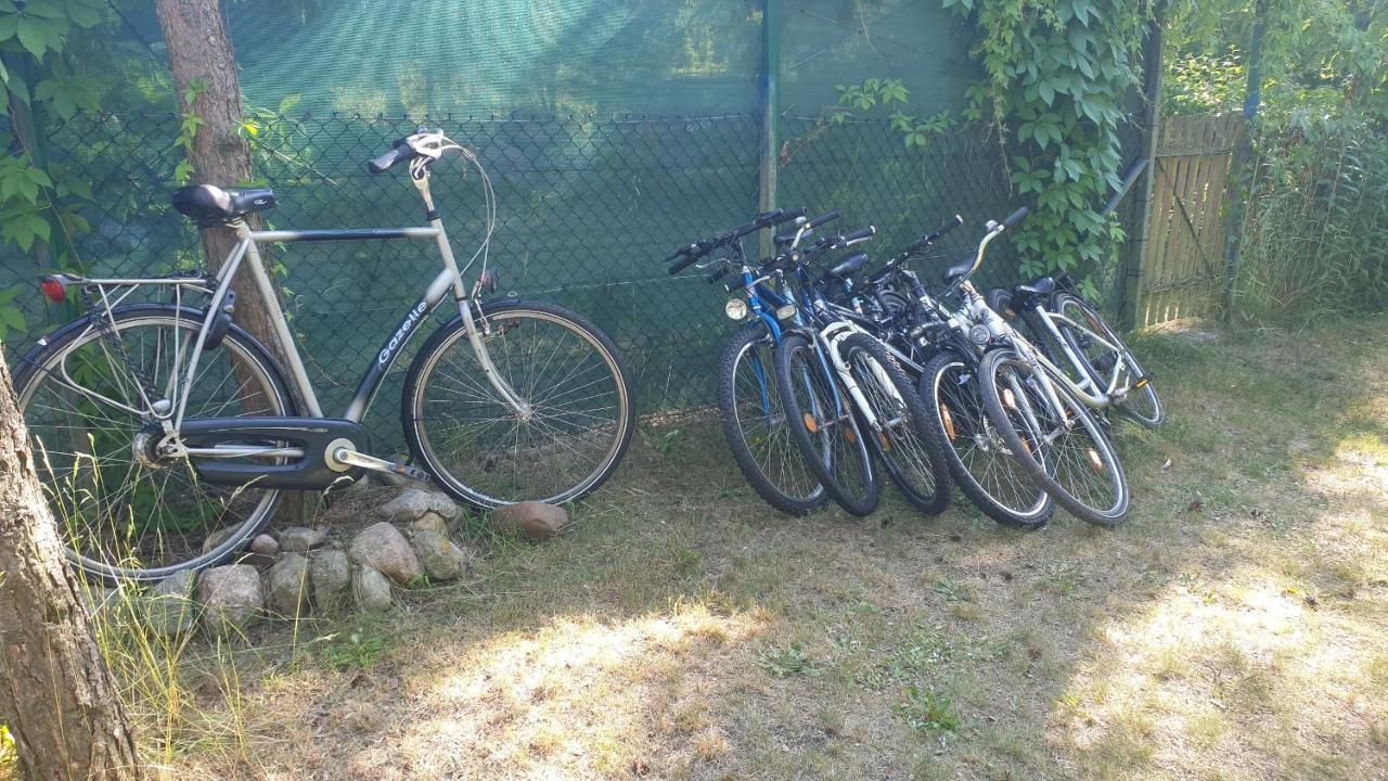 domki domek na jeziorem Wilczyńskim Budzisławskim - klimatyzacja, ogrzewanie Zygmuntowo  Zewnętrze zdjęcie