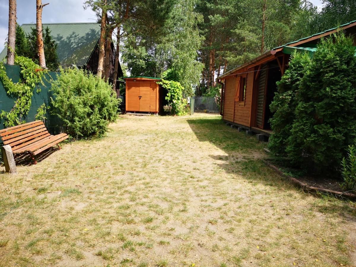 domki domek na jeziorem Wilczyńskim Budzisławskim - klimatyzacja, ogrzewanie Zygmuntowo  Zewnętrze zdjęcie