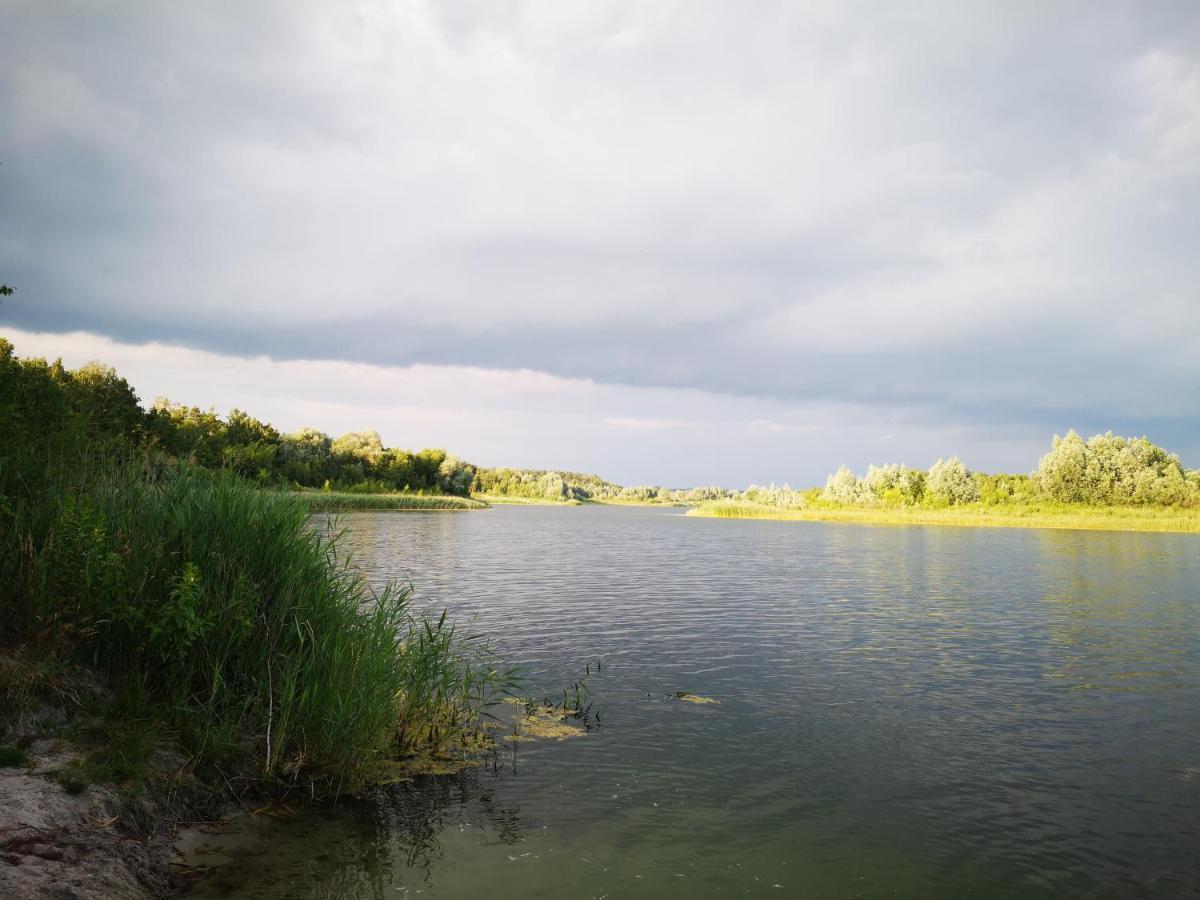 domki domek na jeziorem Wilczyńskim Budzisławskim - klimatyzacja, ogrzewanie Zygmuntowo  Zewnętrze zdjęcie