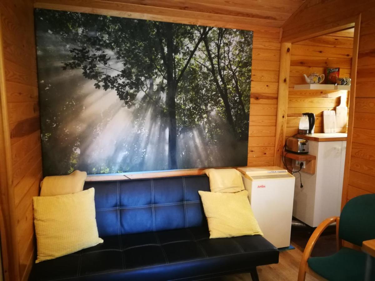 domki domek na jeziorem Wilczyńskim Budzisławskim - klimatyzacja, ogrzewanie Zygmuntowo  Zewnętrze zdjęcie