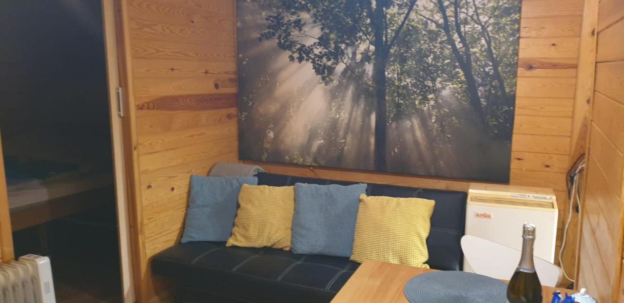 domki domek na jeziorem Wilczyńskim Budzisławskim - klimatyzacja, ogrzewanie Zygmuntowo  Zewnętrze zdjęcie